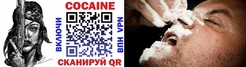 КОКАИН Fish Scale  Купить закладки  Чаплыгин 
